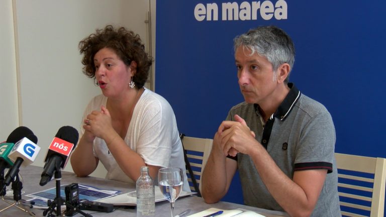En Marea agarda superar as confrontacións no plenario deste sábado. “Non somos un partido clásico”
