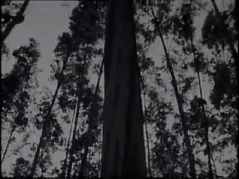 [Documental] O monte é noso (Llorenç Soler, 1978)