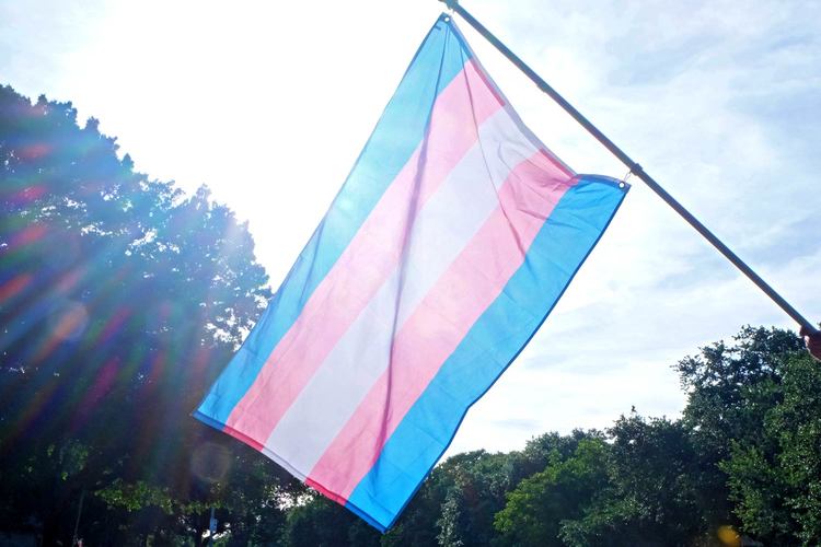A bandeira trans álzase por primeira vez no Día do Orgullo
